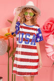 American Flag Theme Usa Print Sequin Dress