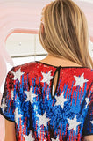 American Theme Star Pattern Sequin Top